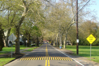 Speed hump made of rubber